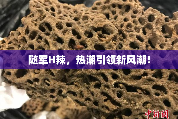 随军H辣，热潮引领新风潮！
