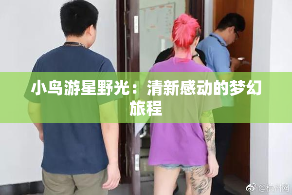 小鸟游星野光：清新感动的梦幻旅程