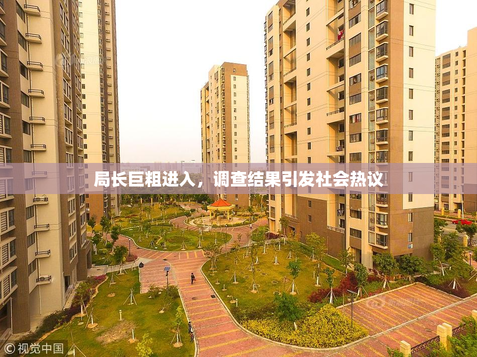 局长巨粗进入，调查结果引发社会热议