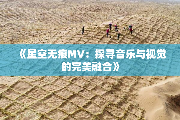 《星空无痕MV：探寻音乐与视觉的完美融合》