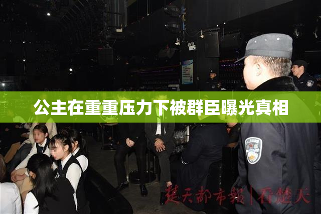 公主在重重压力下被群臣曝光真相