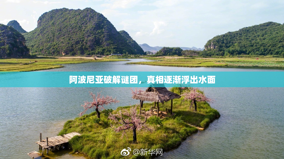 阿波尼亚破解谜团，真相逐渐浮出水面