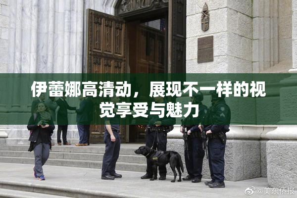 伊蕾娜高清动，展现不一样的视觉享受与魅力