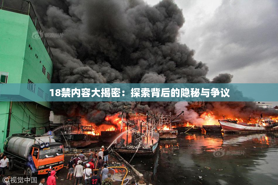 18禁内容大揭密：探索背后的隐秘与争议