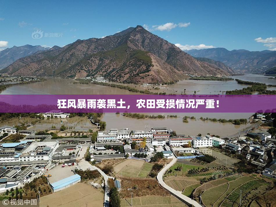 狂风暴雨袭黑土，农田受损情况严重！