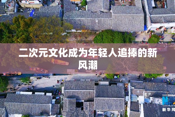 二次元文化成为年轻人追捧的新风潮