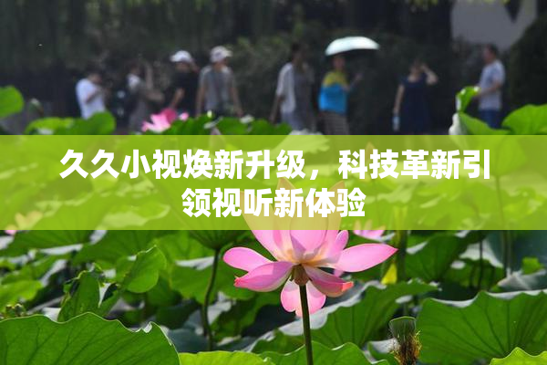 久久小视焕新升级，科技革新引领视听新体验