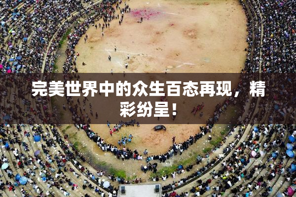 完美世界中的众生百态再现，精彩纷呈！