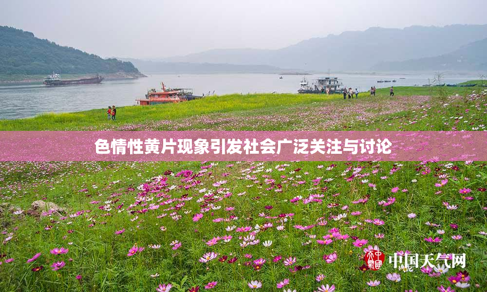 色情性黄片现象引发社会广泛关注与讨论