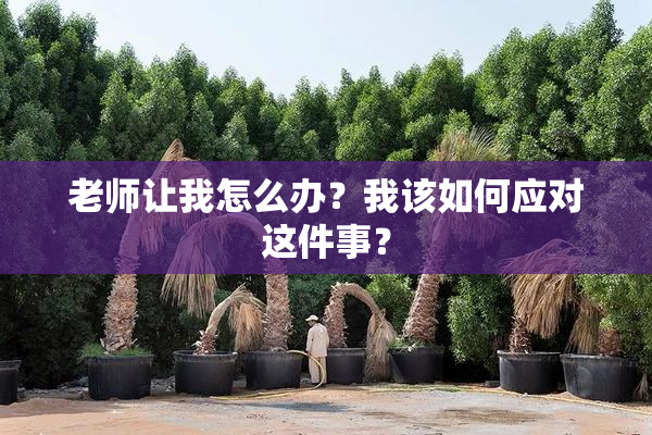 老师让我怎么办？我该如何应对这件事？