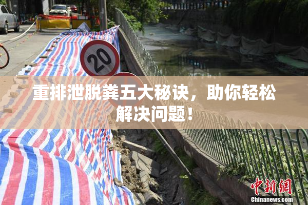 重排泄脱粪五大秘诀，助你轻松解决问题！