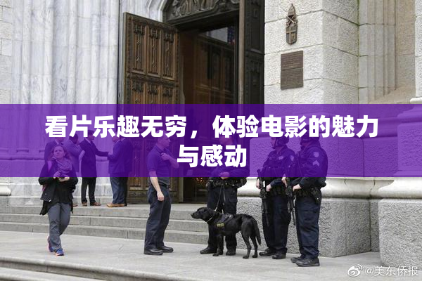 看片乐趣无穷，体验电影的魅力与感动