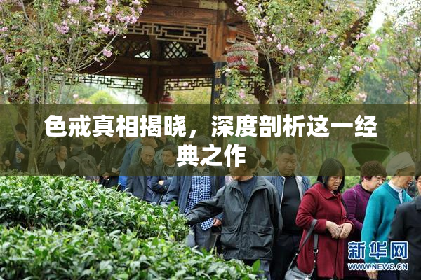 色戒真相揭晓，深度剖析这一经典之作