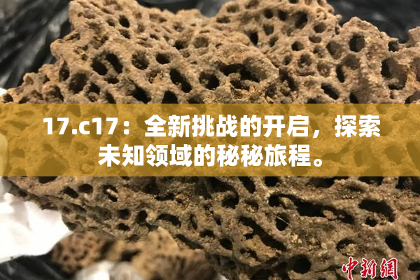 17.c17：全新挑战的开启，探索未知领域的秘秘旅程。