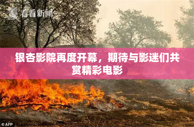 银杏影院再度开幕，期待与影迷们共赏精彩电影