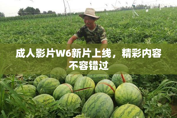 成人影片W6新片上线，精彩内容不容错过
