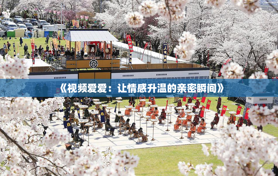 《视频爱爱：让情感升温的亲密瞬间》