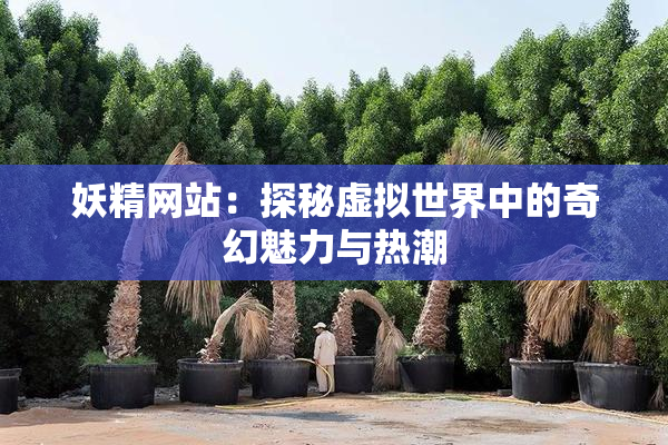 妖精网站：探秘虚拟世界中的奇幻魅力与热潮