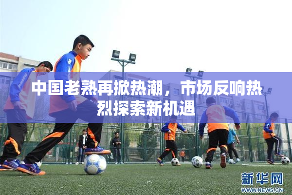 中国老熟再掀热潮，市场反响热烈探索新机遇