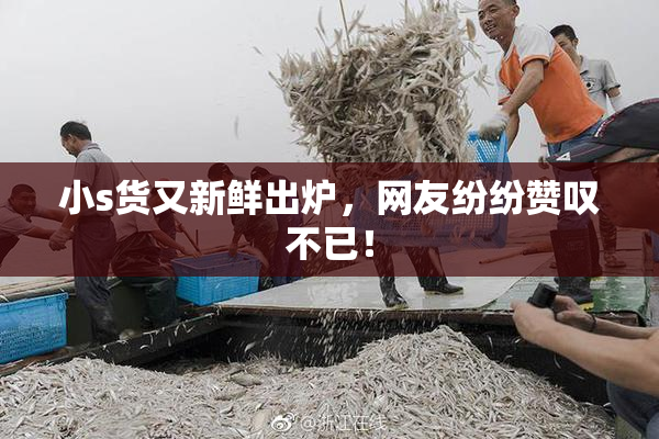 小s货又新鲜出炉，网友纷纷赞叹不已！