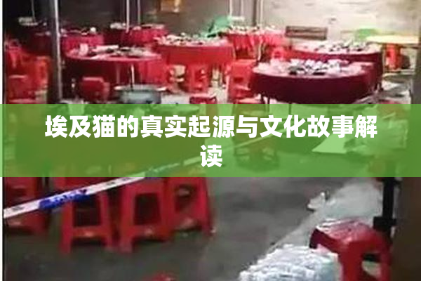 埃及猫的真实起源与文化故事解读