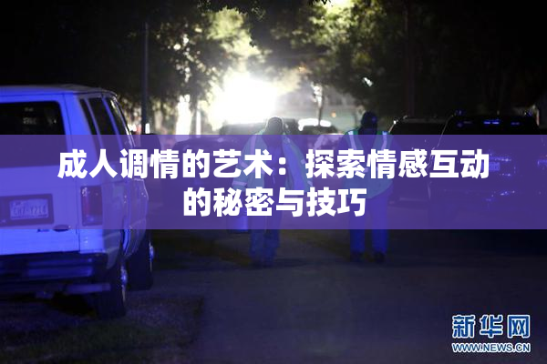 成人调情的艺术：探索情感互动的秘密与技巧