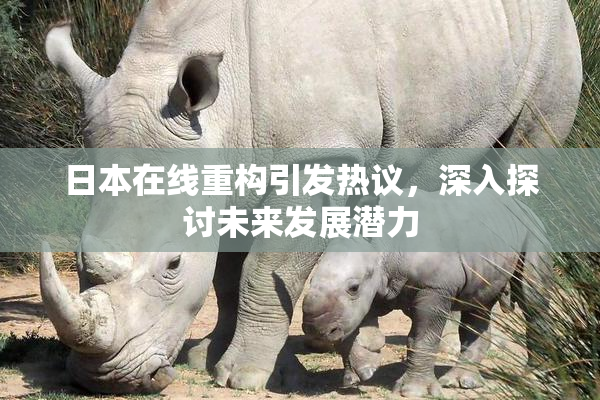 日本在线重构引发热议，深入探讨未来发展潜力
