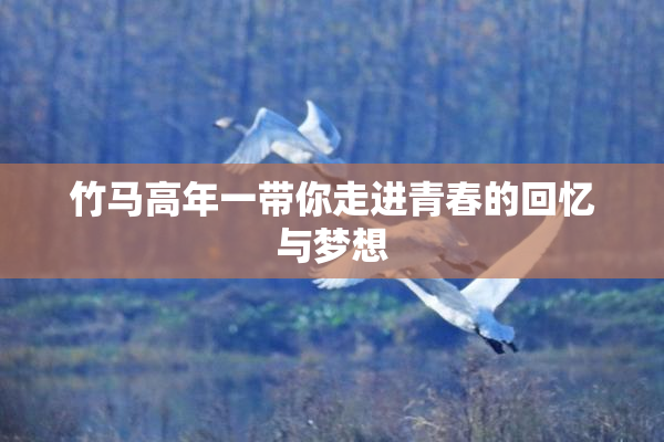竹马高年一带你走进青春的回忆与梦想