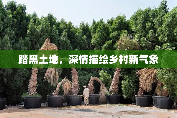 踏黑土地，深情描绘乡村新气象