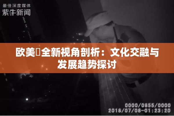 欧美巜全新视角剖析：文化交融与发展趋势探讨