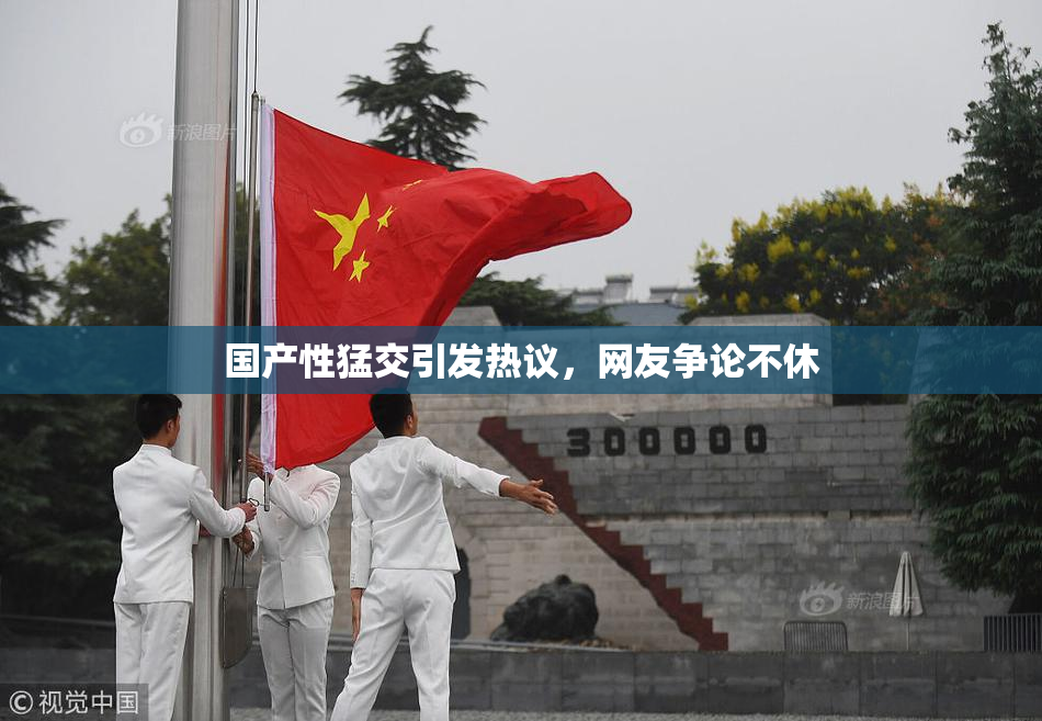 国产性猛交引发热议，网友争论不休