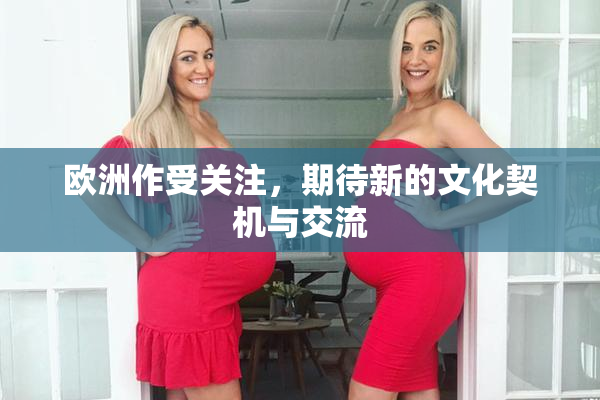欧洲作受关注，期待新的文化契机与交流