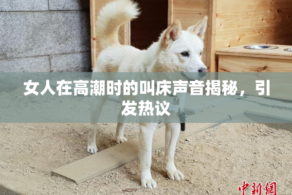 女人在高潮时的叫床声音揭秘，引发热议