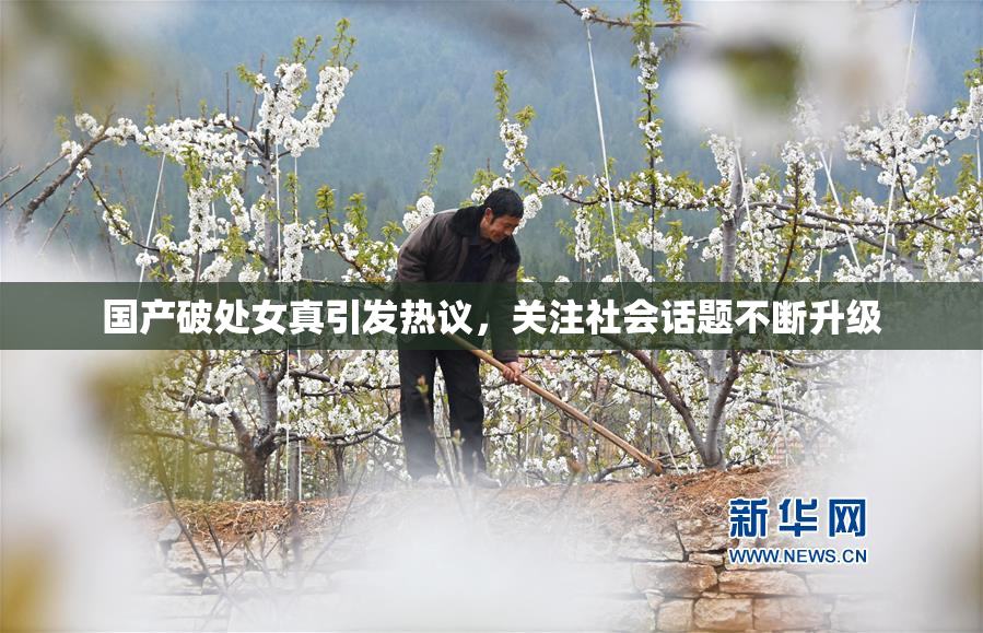 国产破处女真引发热议，关注社会话题不断升级