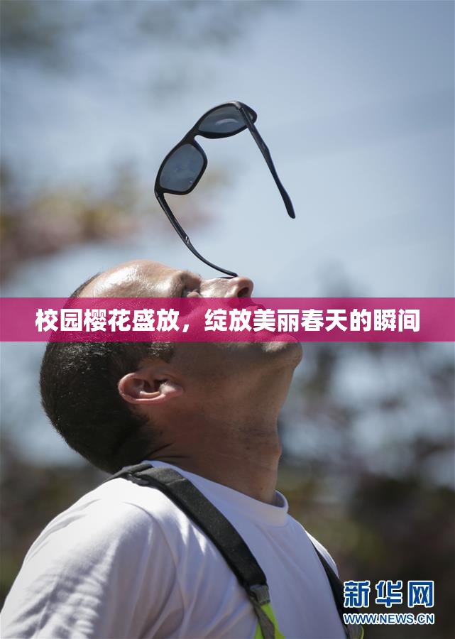 校园樱花盛放，绽放美丽春天的瞬间