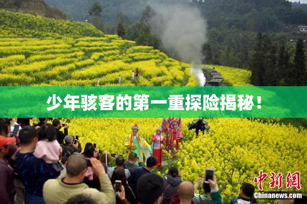 少年骇客的第一重探险揭秘！