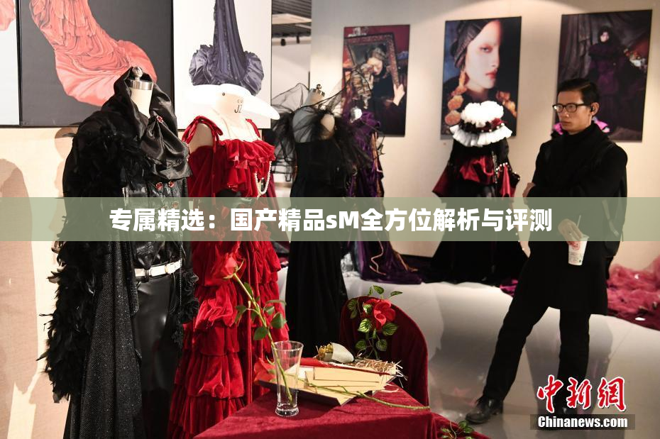 专属精选：国产精品sM全方位解析与评测