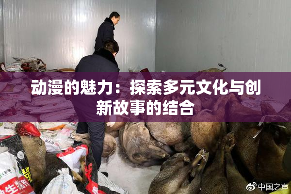 动漫的魅力：探索多元文化与创新故事的结合