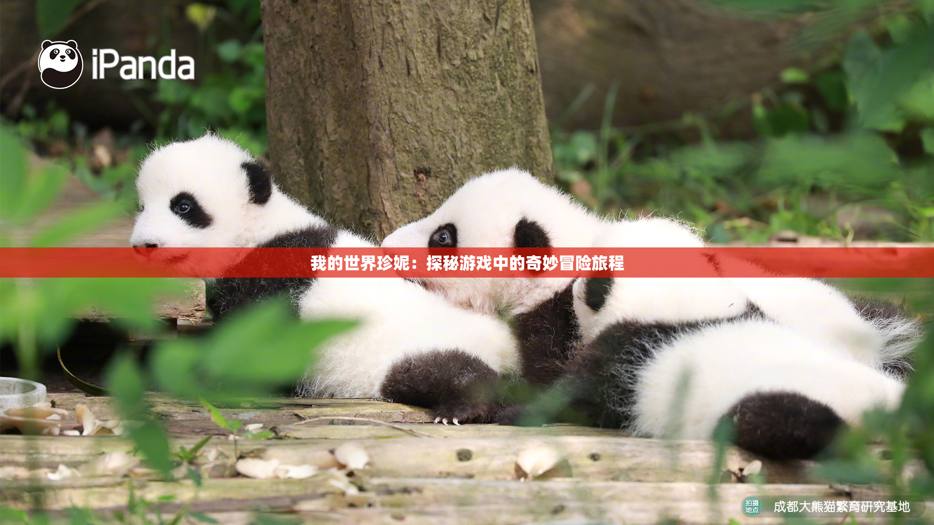 我的世界珍妮：探秘游戏中的奇妙冒险旅程