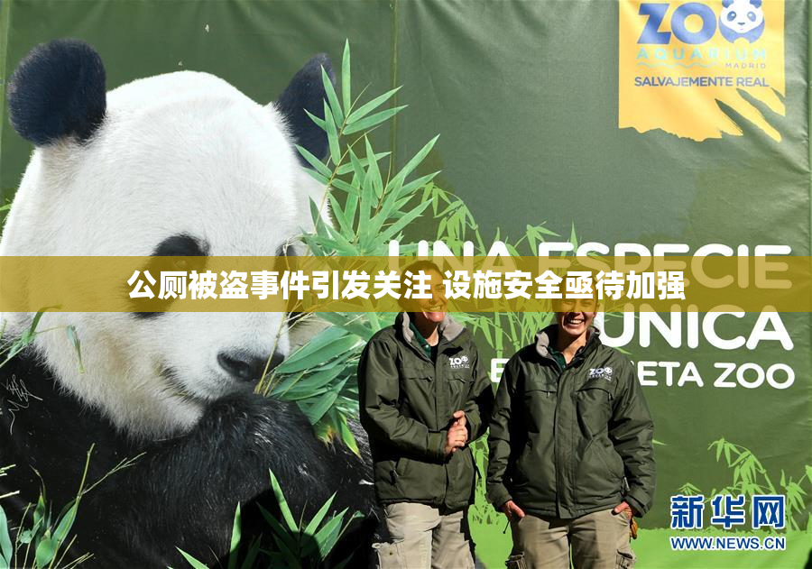 公厕被盗事件引发关注 设施安全亟待加强