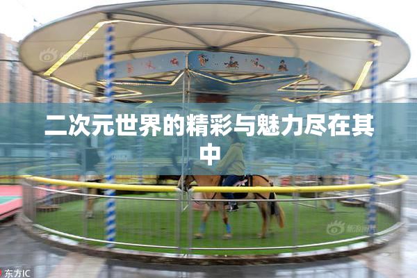 二次元世界的精彩与魅力尽在其中