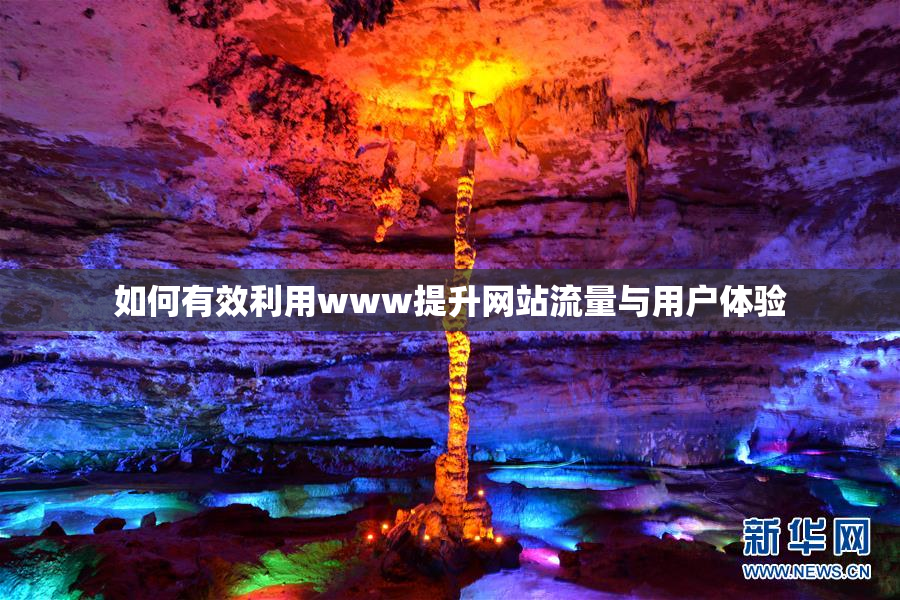 如何有效利用www提升网站流量与用户体验