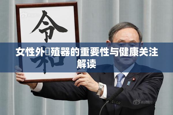 女性外夝殖器的重要性与健康关注解读