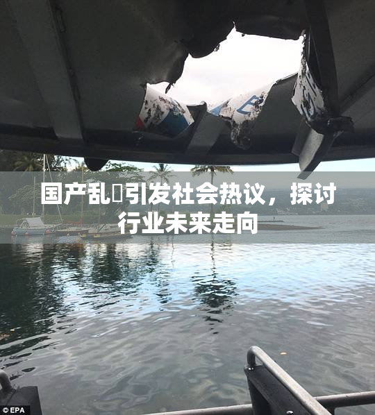 国产乱婬引发社会热议，探讨行业未来走向