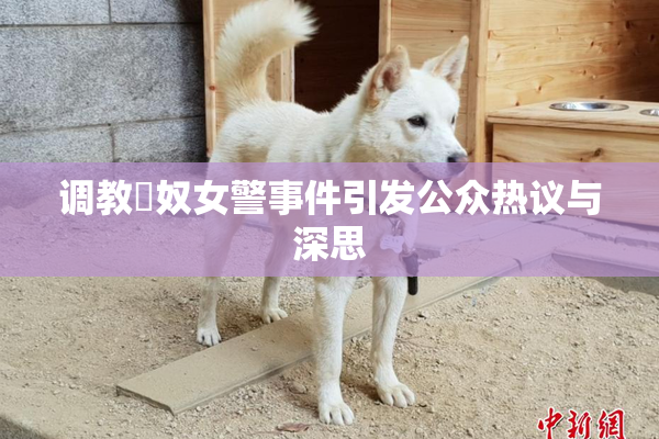 调教婬奴女警事件引发公众热议与深思