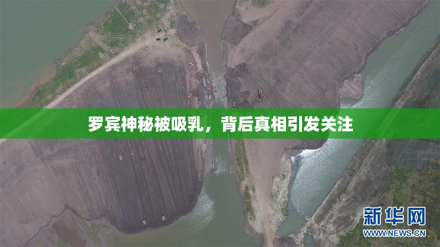 罗宾神秘被吸乳，背后真相引发关注