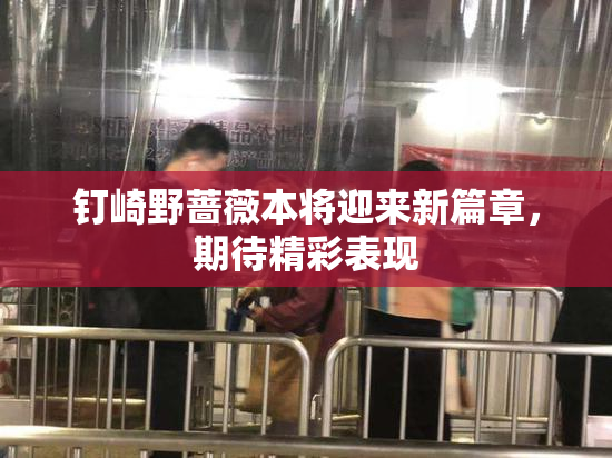 钉崎野蔷薇本将迎来新篇章，期待精彩表现