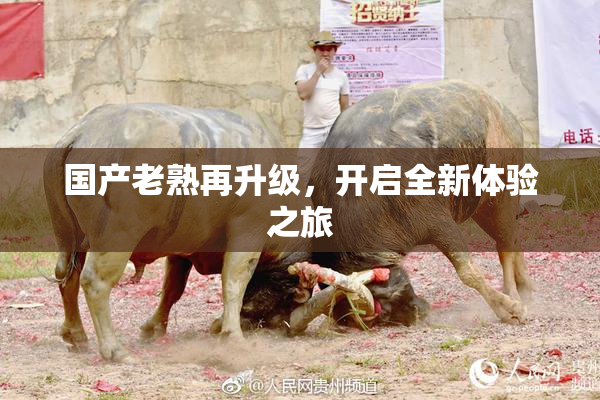 国产老熟再升级，开启全新体验之旅