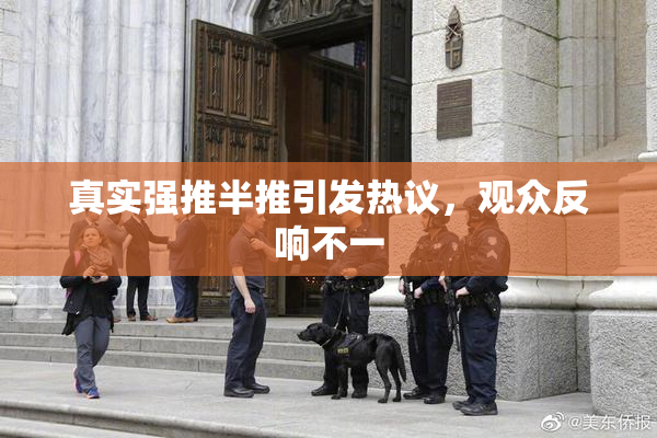 真实强推半推引发热议，观众反响不一