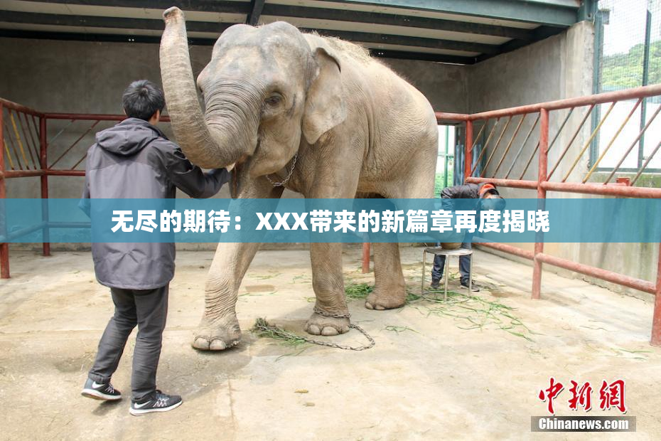 无尽的期待：XXX带来的新篇章再度揭晓